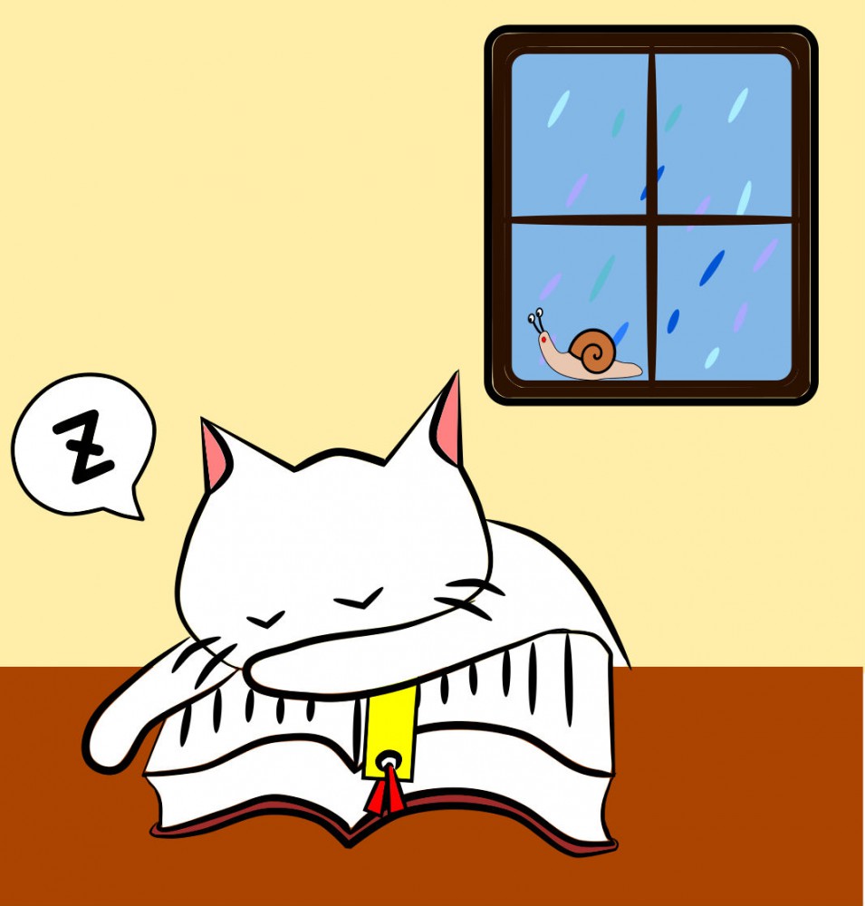 の画像